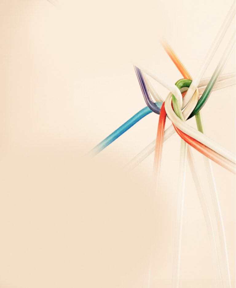 Enterprise Architecture and Governance